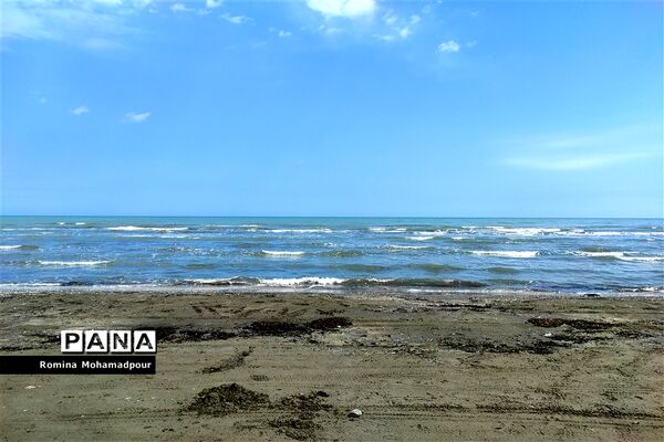 طبیعت بهاری جنگل‌های گیلان