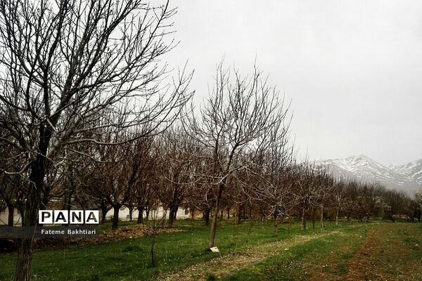 طبیعت بهاری و جاذبه‌های دیدنی روستای عمارت