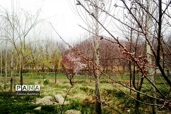 طبیعت بهاری و جاذبه‌های دیدنی روستای عمارت