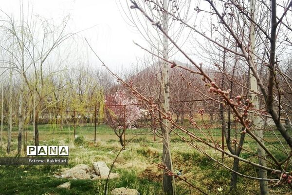طبیعت بهاری و جاذبه‌های دیدنی روستای عمارت