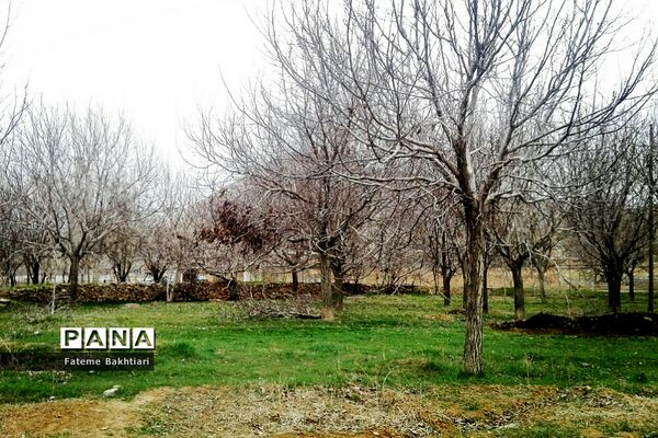 طبیعت بهاری و جاذبه‌های دیدنی روستای عمارت