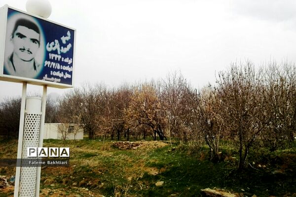 طبیعت بهاری و جاذبه‌های دیدنی روستای عمارت
