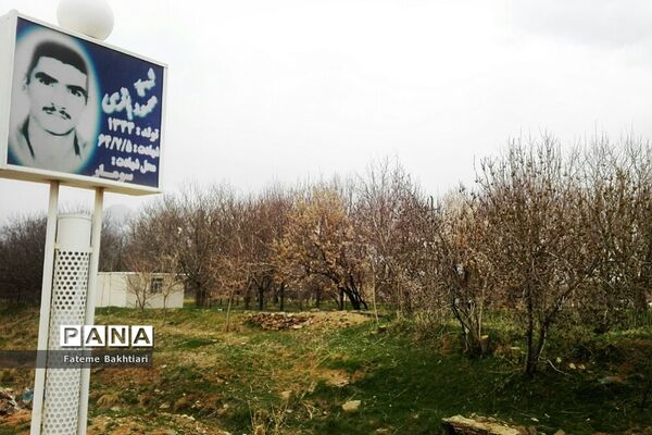 طبیعت بهاری و جاذبه‌های دیدنی روستای عمارت