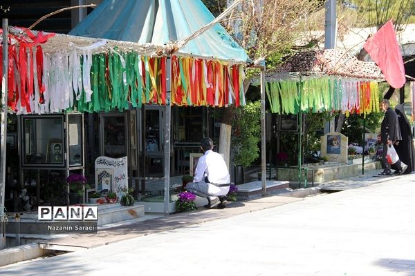 گشتی در قطعه 50 بهشت‌ زهرا(س)