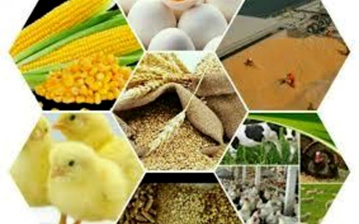 جزیات سفر هیات تجاری ایران به روسیه با هدف توسعه صادرات