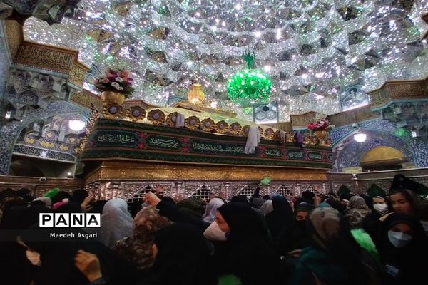 انس دلدادگان با حرم حضرت معصومه (س) و مسجد جمکران