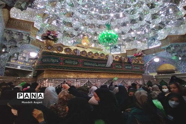 انس دلدادگان با حرم حضرت معصومه (س) و مسجد جمکران