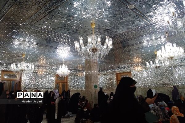 انس دلدادگان با حرم حضرت معصومه (س) و مسجد جمکران