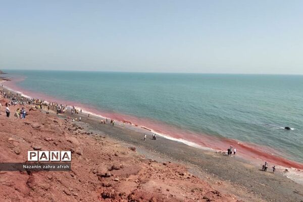 هرمز، نگین سرخ خلیج فارس