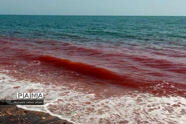 هرمز، نگین سرخ خلیج فارس