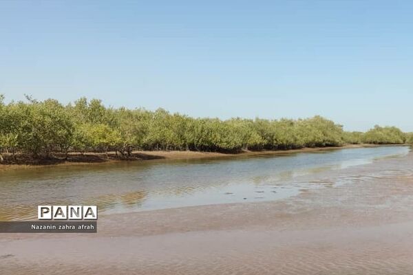 هرمز، نگین سرخ خلیج فارس