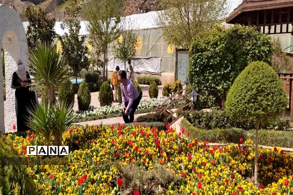 برگزاری جشنواره لاله‌ها در پارک چمران