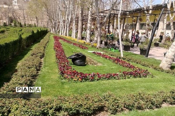 برگزاری جشنواره لاله‌ها در پارک چمران