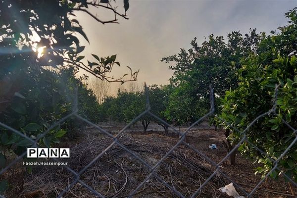 طبیعت بهاری در شمال کشور