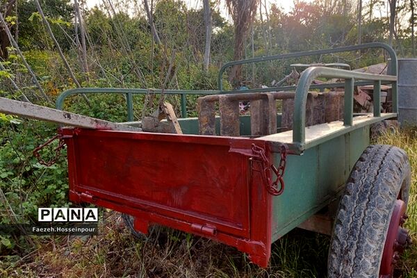 طبیعت بهاری در شمال کشور