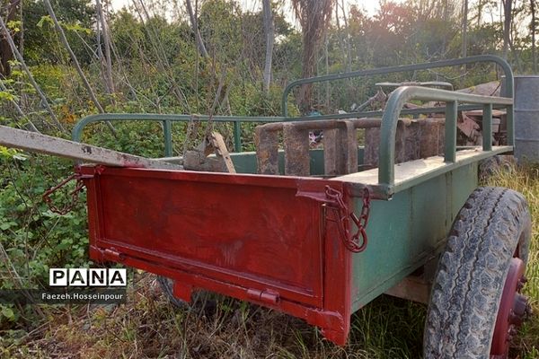 طبیعت بهاری در شمال کشور