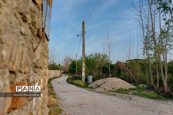 طبیعت بهاری در شمال کشور
