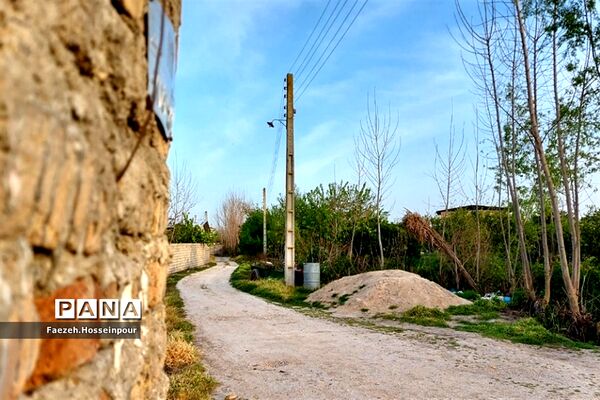 طبیعت بهاری در شمال کشور