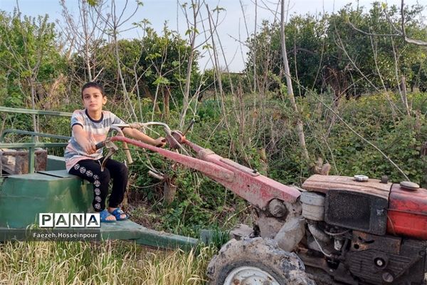 طبیعت بهاری در شمال کشور