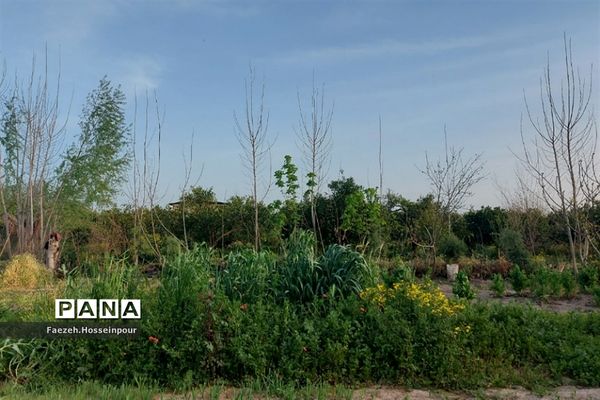 طبیعت بهاری در شمال کشور