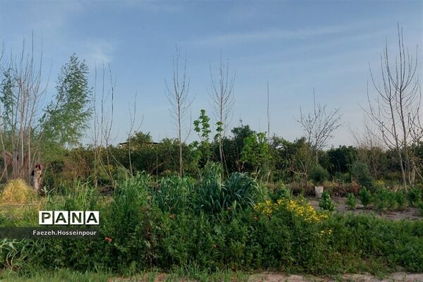 طبیعت بهاری در شمال کشور