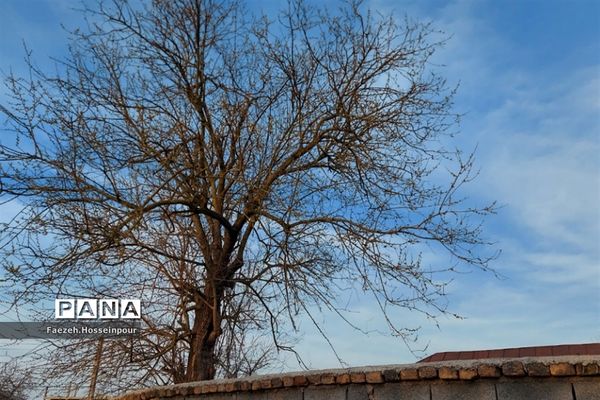 طبیعت بهاری در شمال کشور