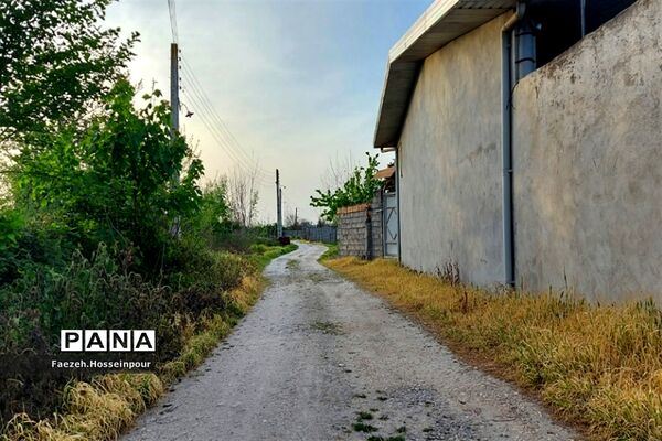 طبیعت بهاری در شمال کشور
