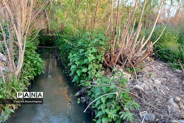 طبیعت بهاری در شمال کشور