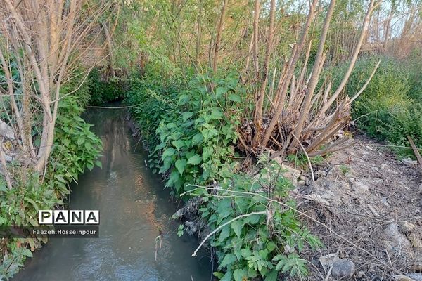 طبیعت بهاری در شمال کشور