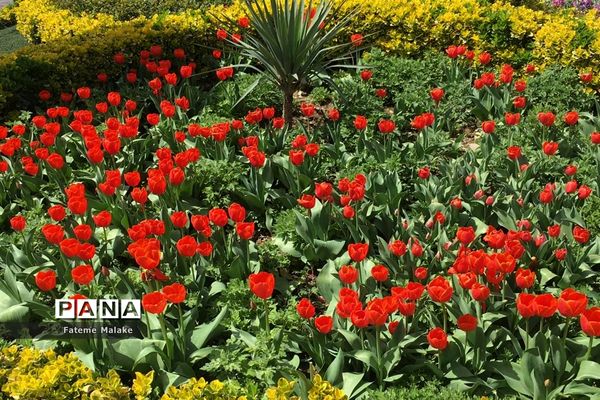 باغ گل‌های کرج