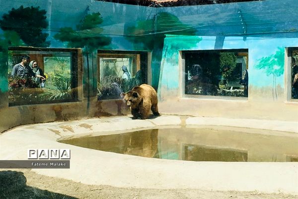 باغ گل‌های کرج