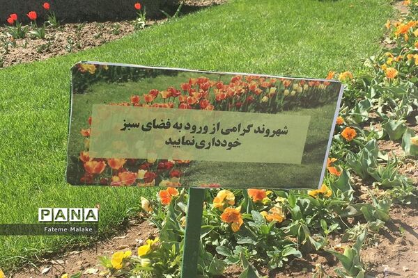 باغ گل‌های کرج