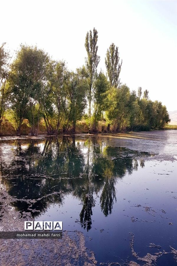 دالاهـو؛ نگین غـرب ایران