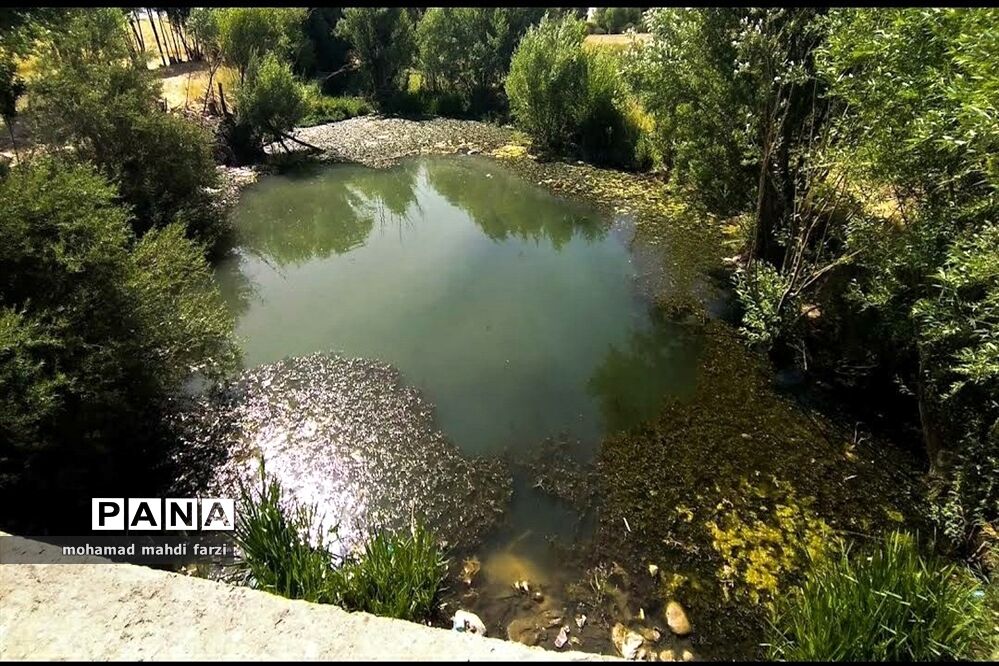 دالاهـو؛ نگین غـرب ایران