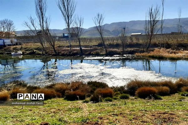 دالاهـو؛ نگین غـرب ایران