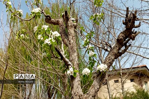 دهکده تفریحی و گردشگری باغستان کرج در روز سیزده فروردین