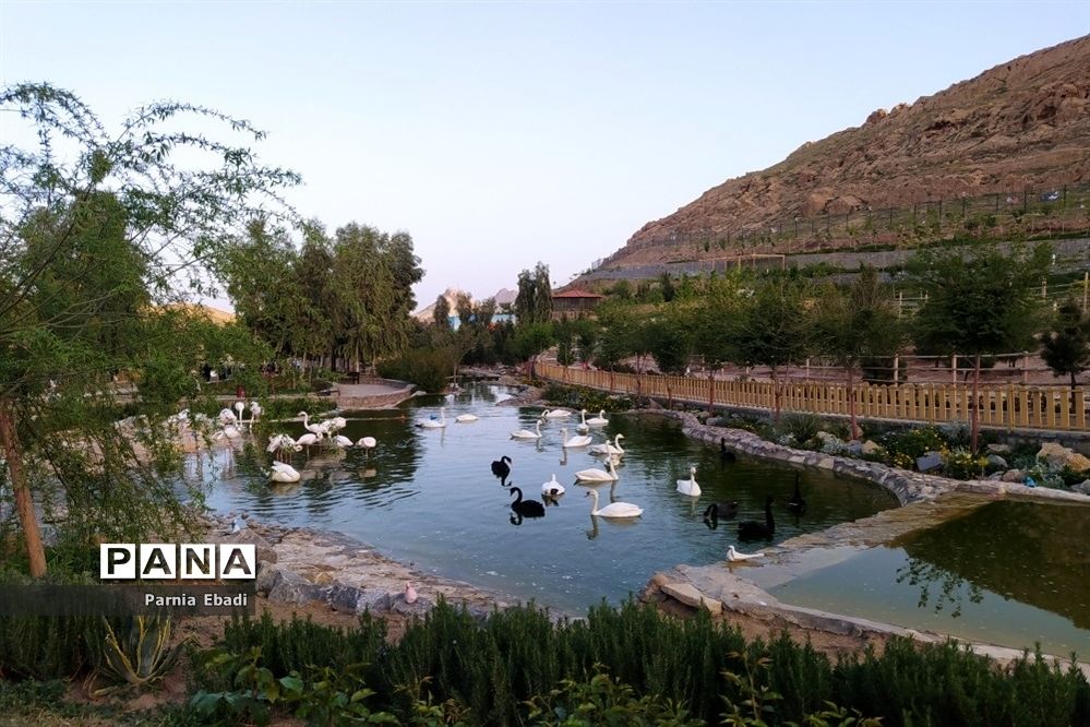 دیدنی‌های باغ پرندگان قم