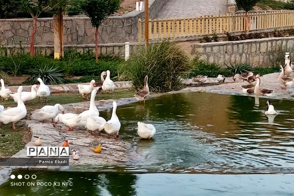 دیدنی‌های باغ پرندگان قم