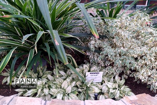 دیدنی‌های باغ پرندگان قم