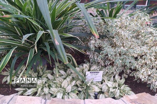دیدنی‌های باغ پرندگان قم