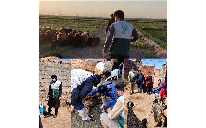 رزمایش جهاد ملی امنیت غذایی پایدار در شهرستان نیشابور برگزار شد