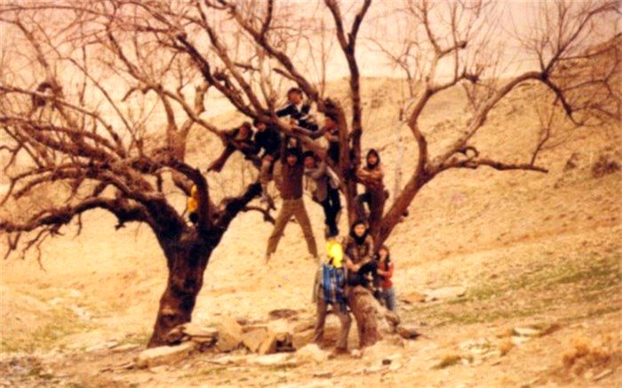 راه‌یابی جدیدترین مستند پگاه آهنگرانی به بخش مسابقه چهار جشنواره خارجی