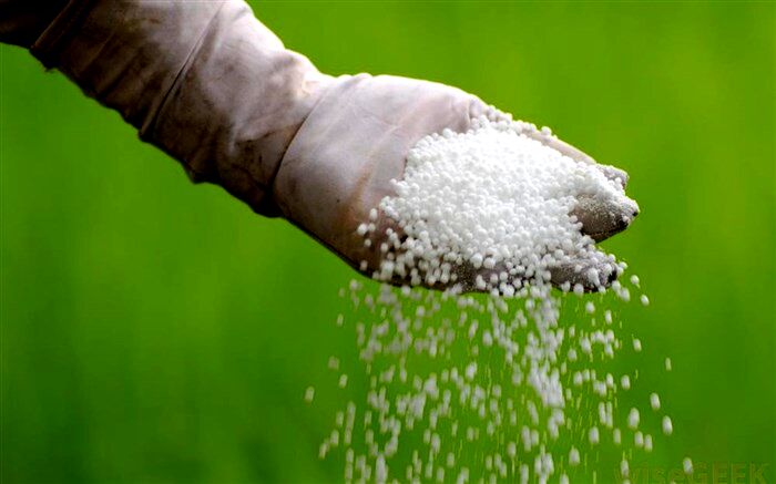 افزایش مصرف کود در پی کاهش ۴۵ درصدی قیمت آن از ابتدای سال جاری