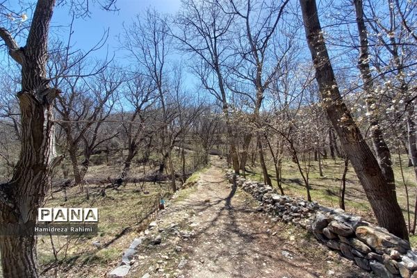 طبیعت بهاری خوانسار