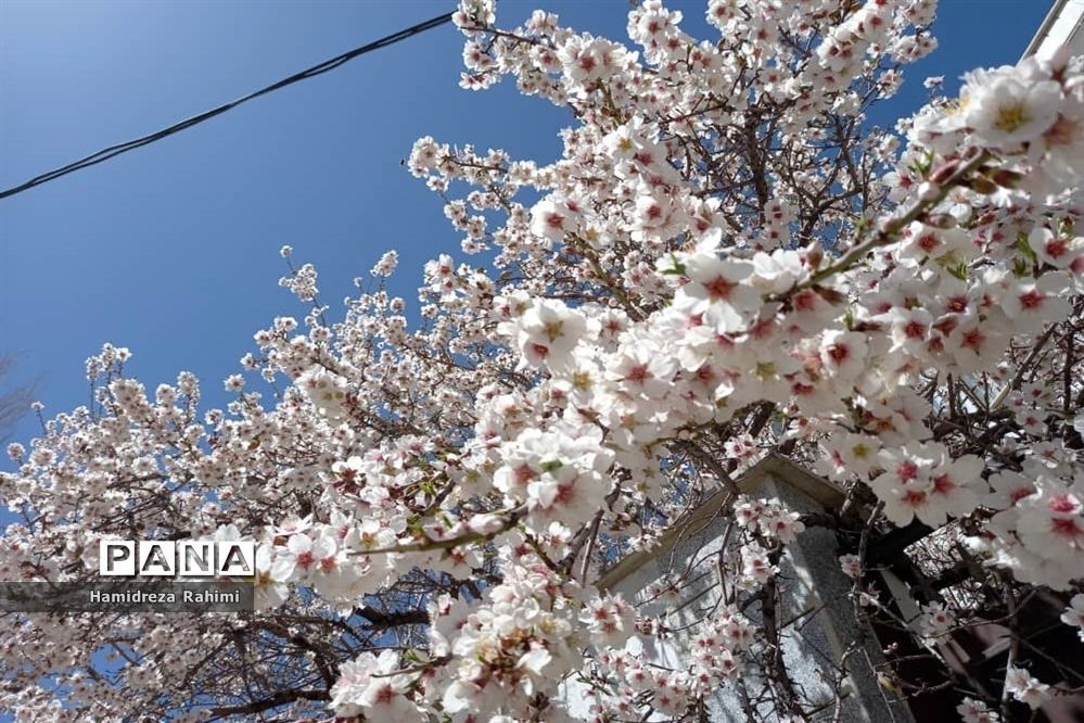 طبیعت بهاری خوانسار