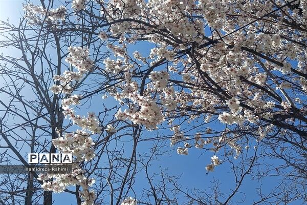 طبیعت بهاری خوانسار