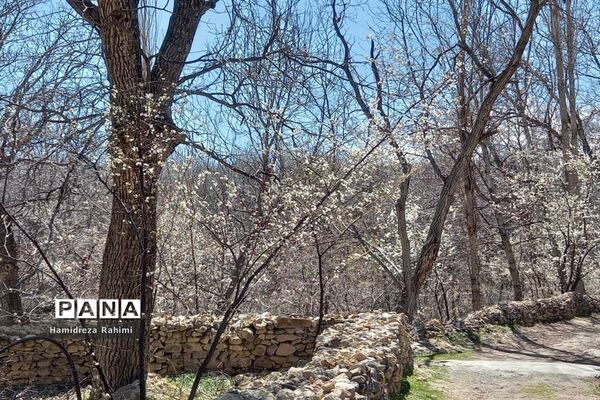 طبیعت بهاری خوانسار
