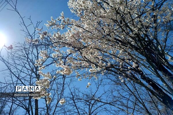 طبیعت بهاری خوانسار