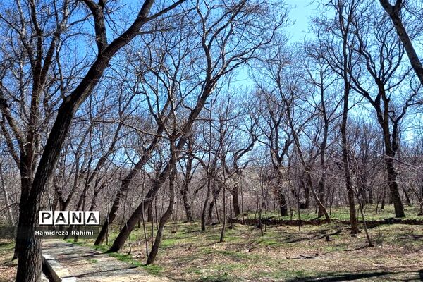 طبیعت بهاری خوانسار
