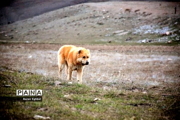 جلوه‌های بصری روستای چهره‌برق